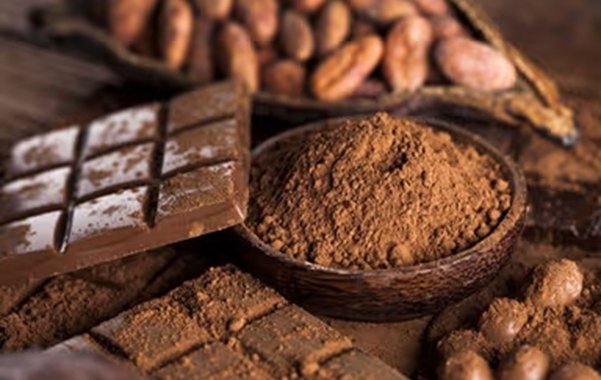 Taller de tast de xocolata