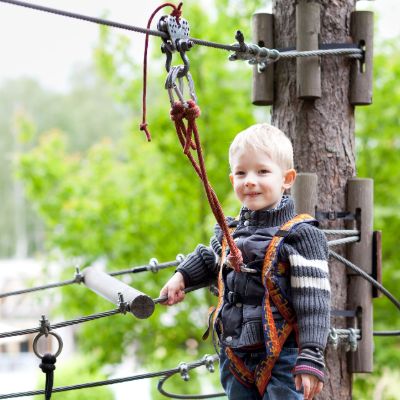 Circuito en los árboles Iniciación