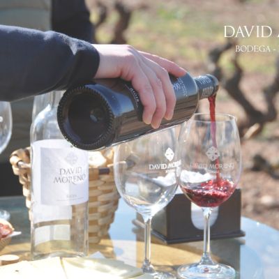 Visita "A pié de viña"