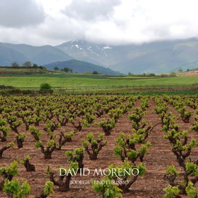 Enoturismo: Ruta de los Guardaviñas