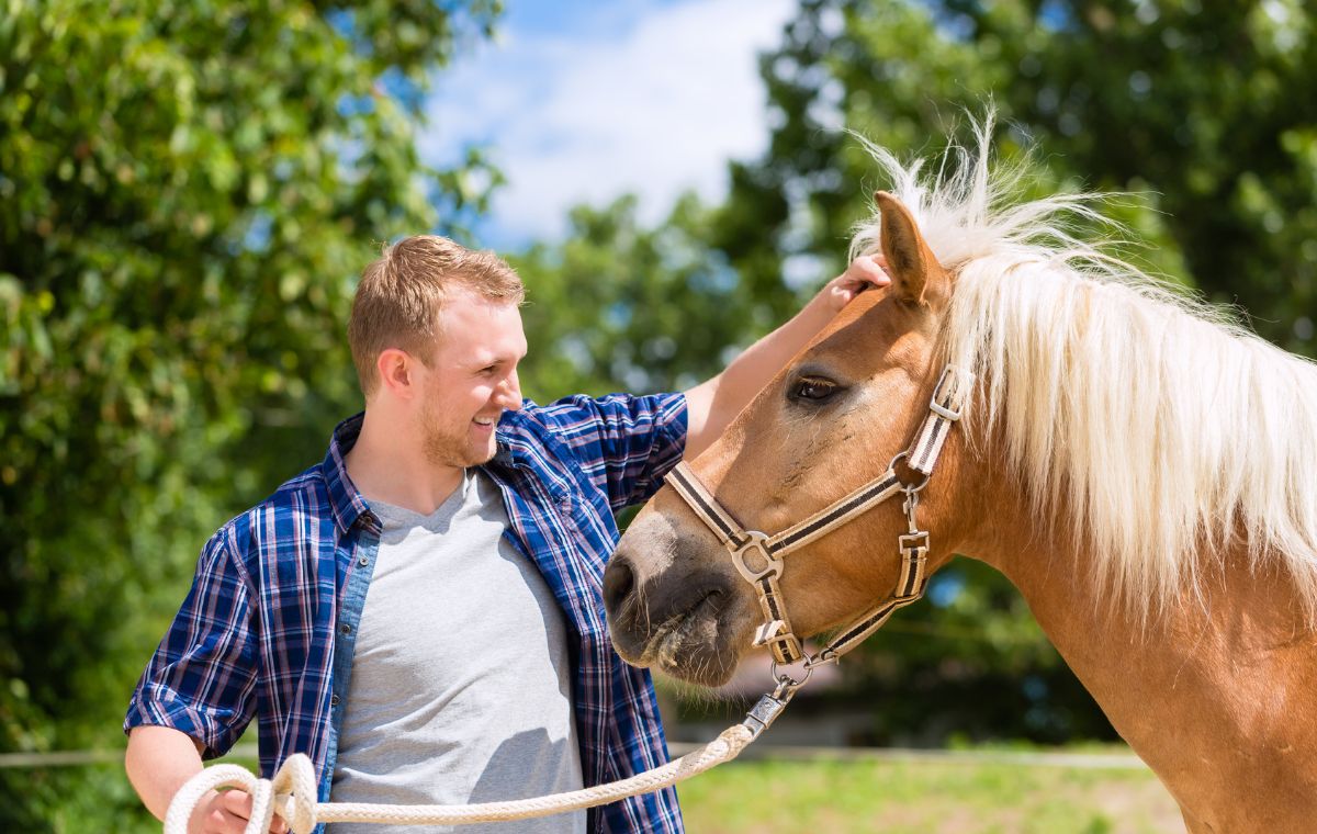 Paseo a caballo y tiro con arco - Para 2 personas
