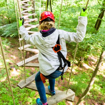 Circuito "Aventura" en los árboles