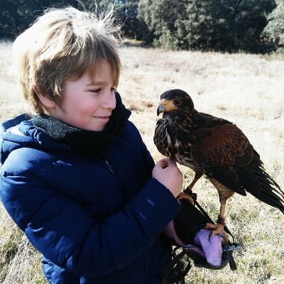 Posa con un ave rapaz