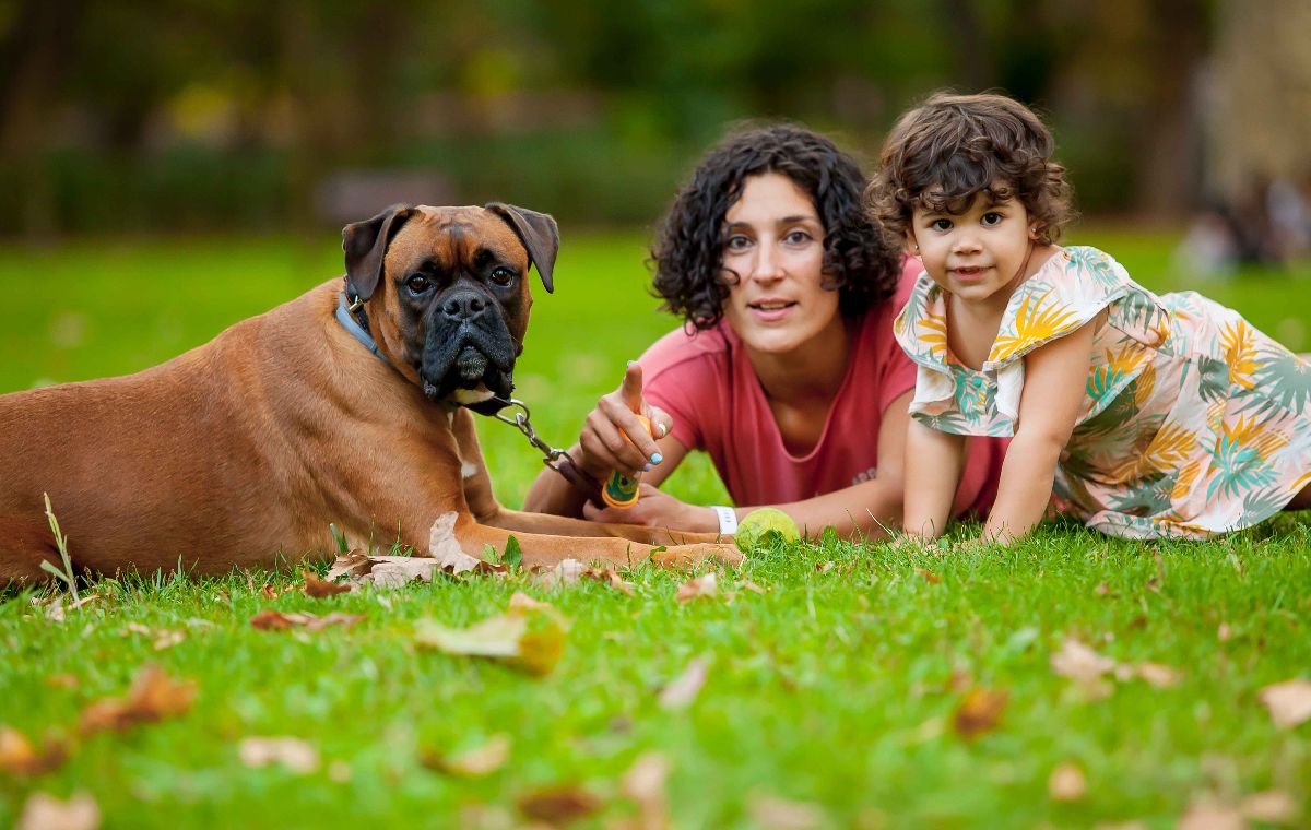 Sesión fotográfica en exteriores o a domicilio para niños