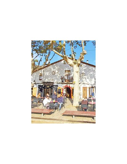 Descubre Alella - De 1 a 4 Personas