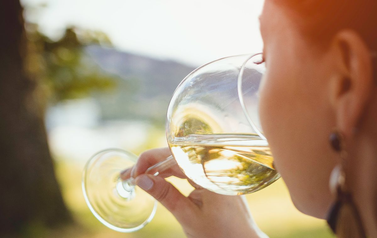 Visita al celler amb tast - per a 2 persones