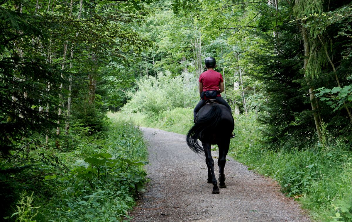 Excursión a Caballo 