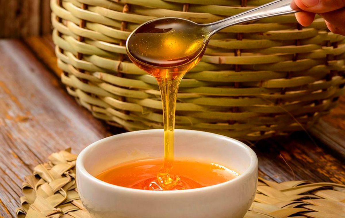 Apicultura y degustación de productos en familia