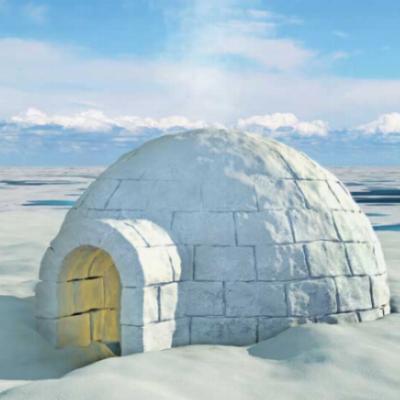 Raquetas de nieve + construcción de iglú + trineo