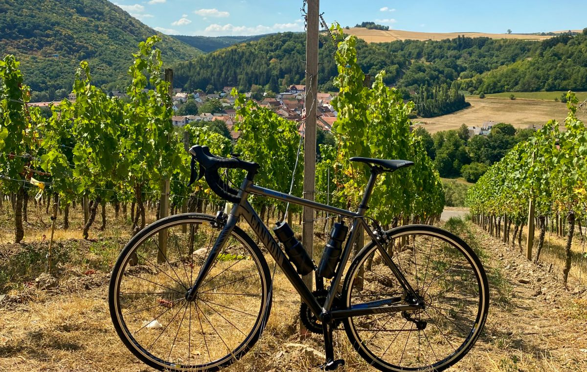 Escapada entre viñedos con e-bike, cata gourmet y regalo enogastronómico