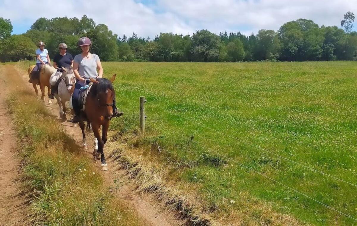 Paseo en Caballo- Para 2 Personas