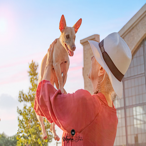 Sesión fotográfica