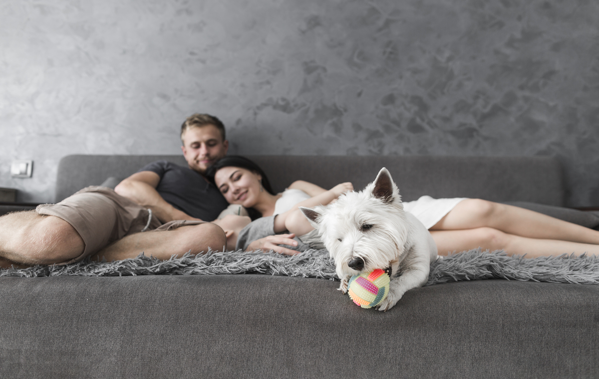 Hostal Cal Manescal: 2 Noches de Alojamiento con desayuno para 2 Personas + Mascota